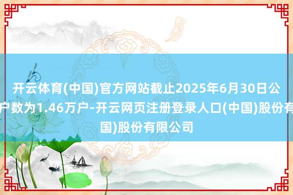 开云体育(中国)官方网站截止2025年6月30日公司鞭策户数为1.46万户-开云网页注册登录人口(中国)股份有限公司
